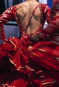 Bare back of flamenco dancer.jpg